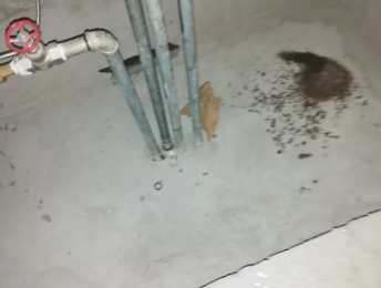 孟州卫生间测漏水价格明细